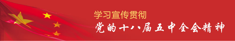 學(xué)習(xí)宣傳貫徹黨的十八屆五中全會精神