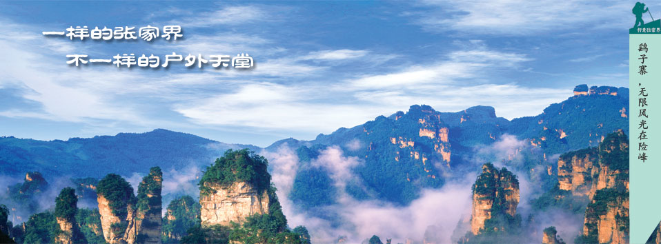 張家界國際鄉(xiāng)村音樂節(jié)宣傳圖片2