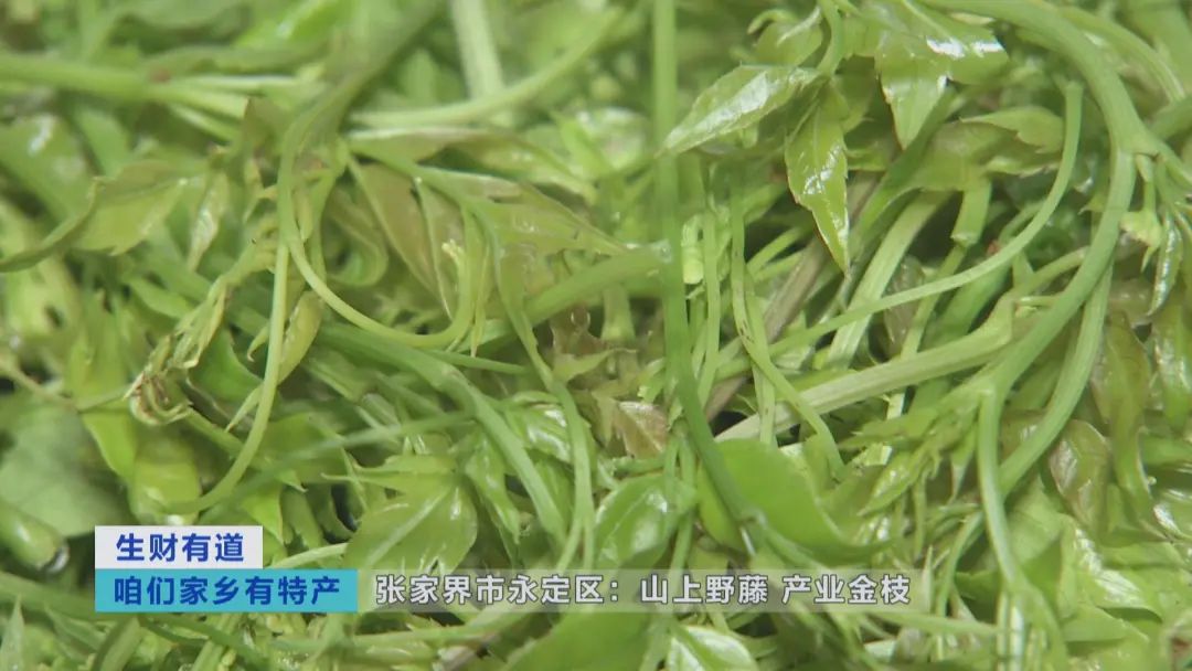 微信圖片_20211028122524.jpg 圖片