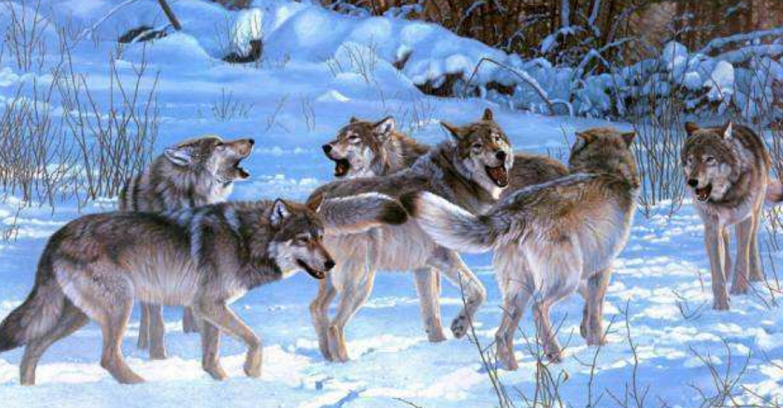 華為管理文化的兩個關鍵詞：簡單、狼狽為奸