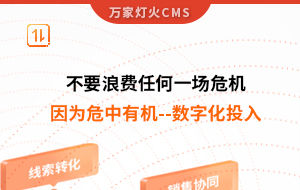 不要浪費任何一場危機，因為危中有機--數(shù)字化投入