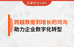 跨越數(shù)據(jù)到增長的鴻溝，助力企業(yè)數(shù)字化轉型